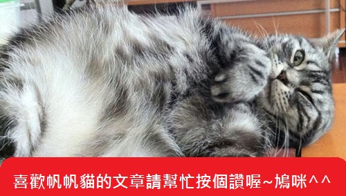 支持帆帆貓A幸福旅行台-熱轉印機推薦