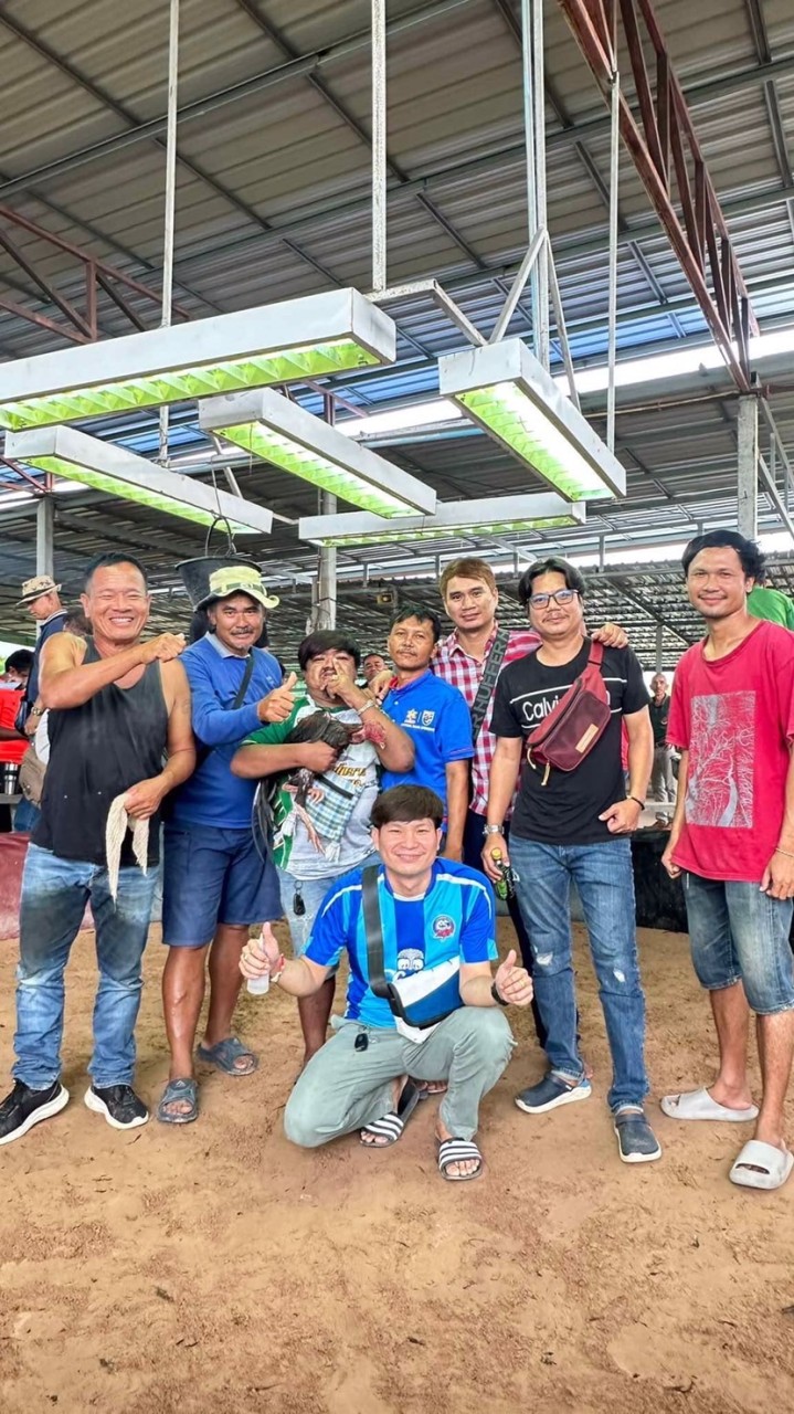 ซุ้มเพชรลำซิ่ง อินเตอร์เทรนเมนท์