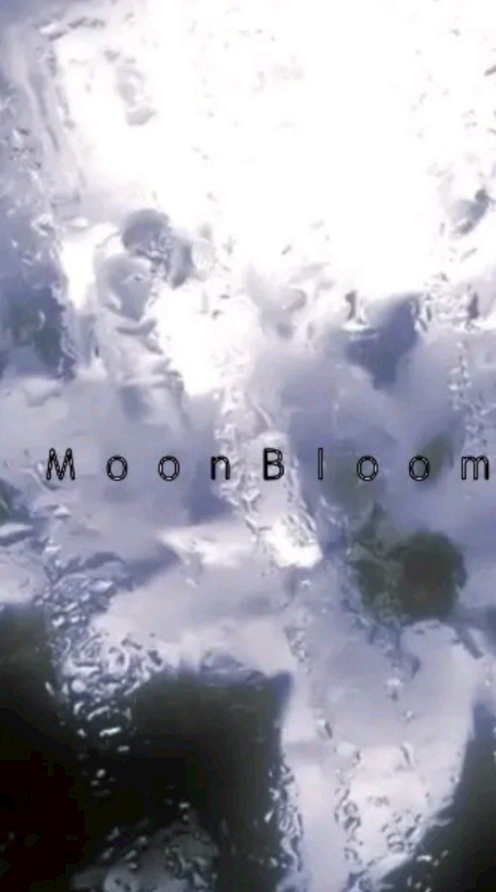 Moon　Bloom