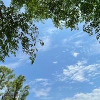 反對雙向在東側（楊頭高架竹北段）行動