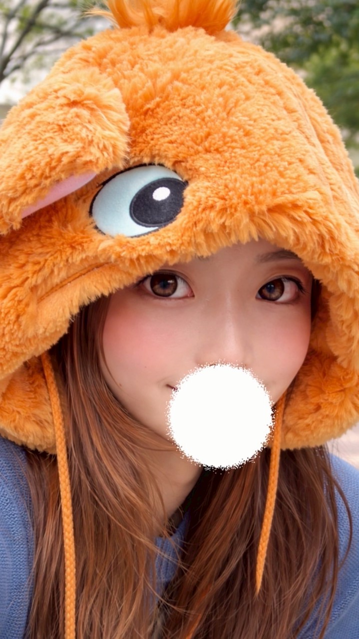 のんぼく🐈