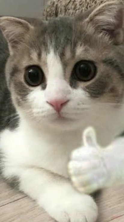 🎀精神🌻病院🎀