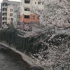 GU経済・文化情報部