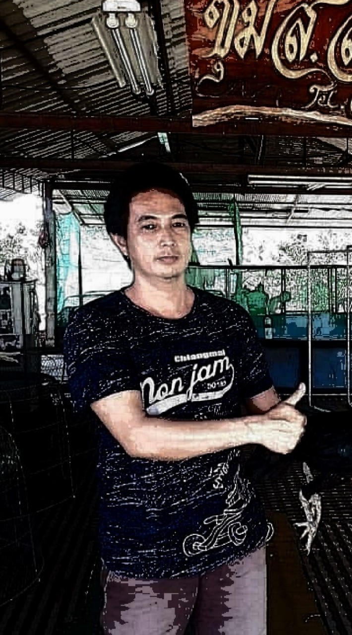 ตลาดไก่ชน ส.สมบูรณ์ ลำพูน