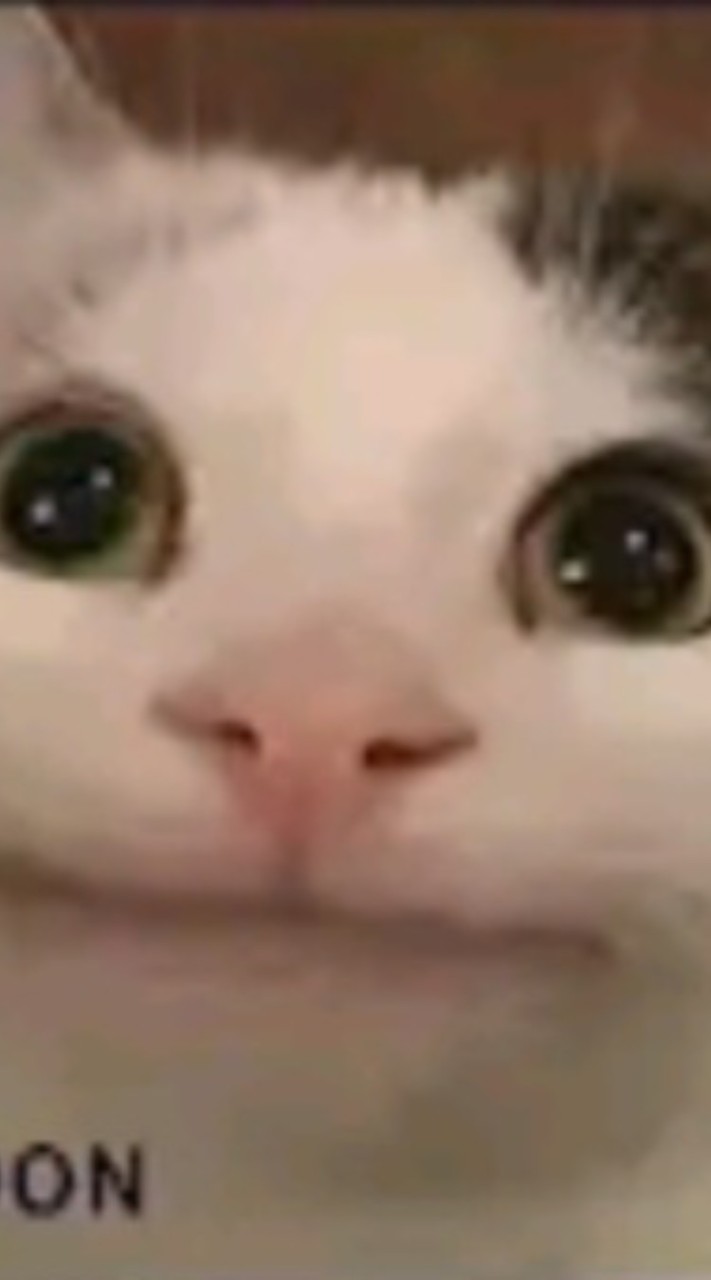 弟妹是SB