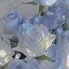 夢見心地：昔風の【全緩也】