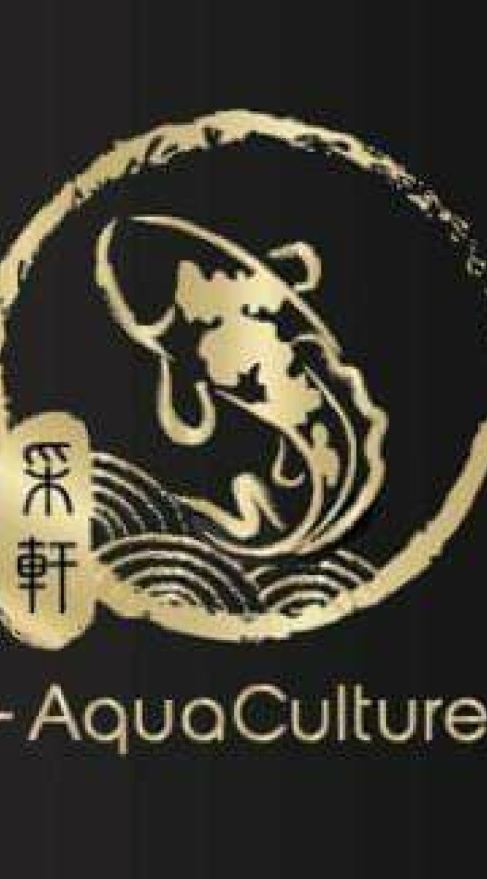 采軒(koi)養殖場