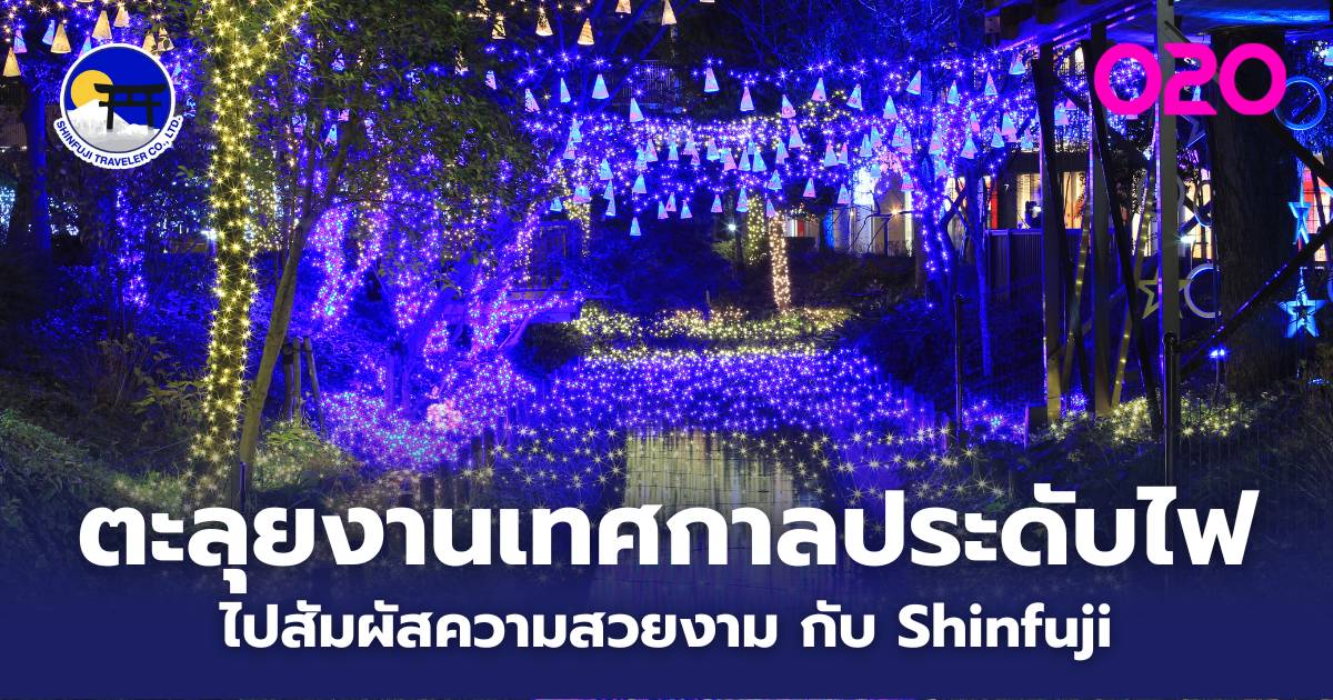 The Best Winter Light Festivals in Japan 2023/2024 News Directory 3