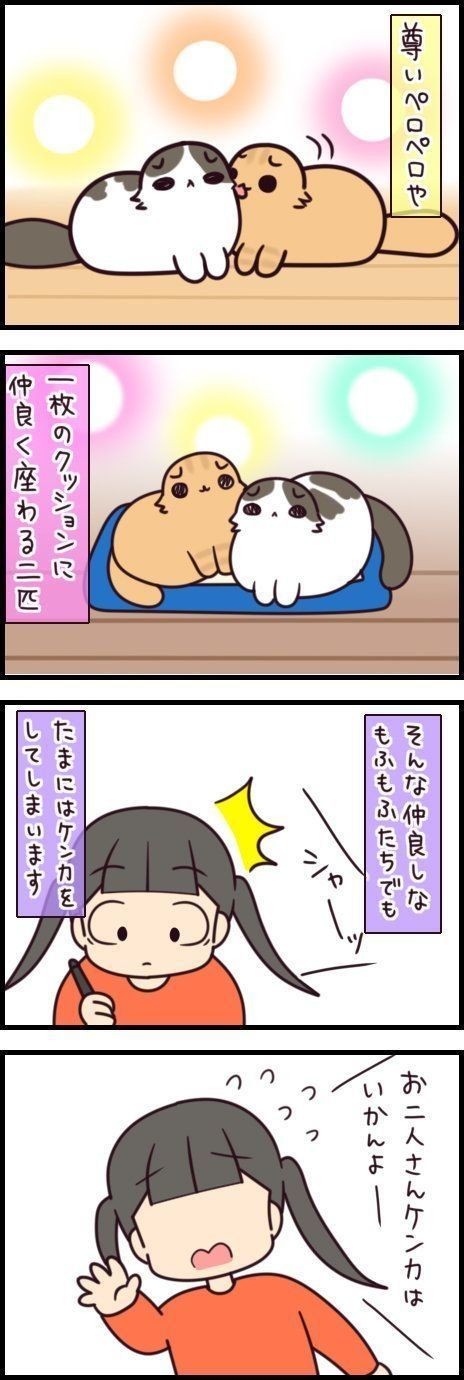 たとえ仲良しでも喧嘩はする 炸裂する猫パンチ