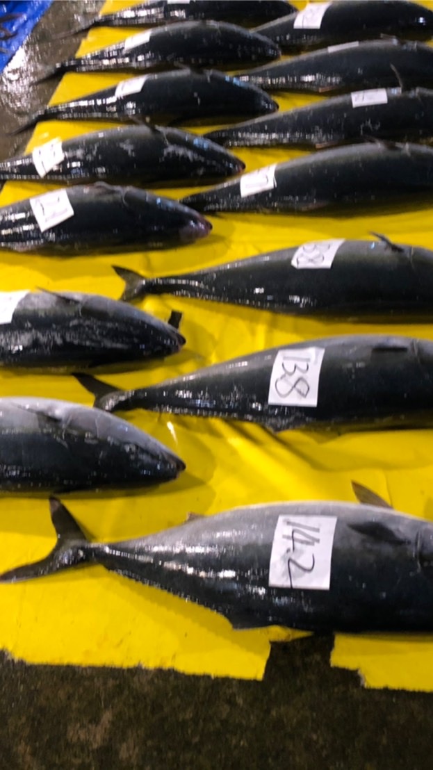 お魚の買い物や魚料理の情報交換会