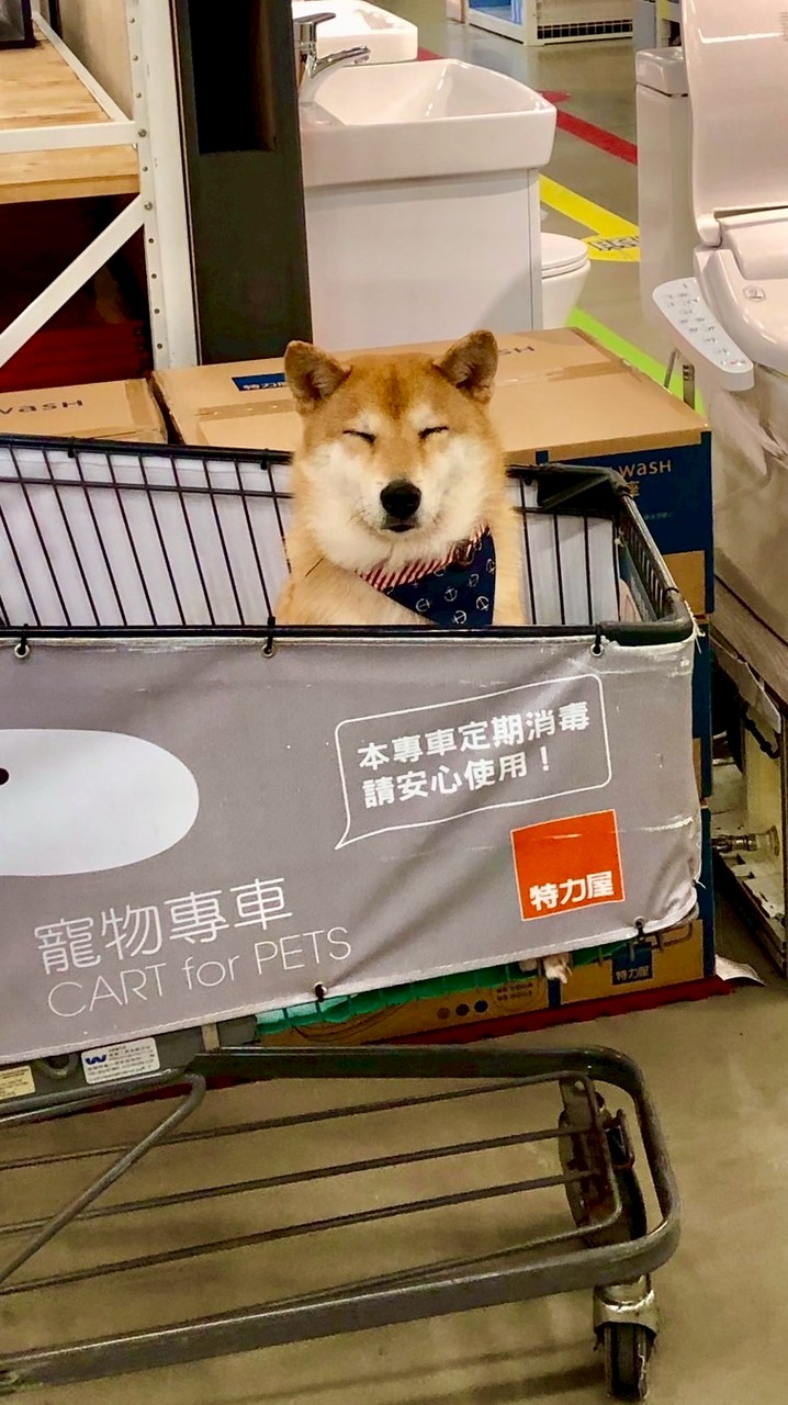 ☀️特力屋管家補給站 ☀️
