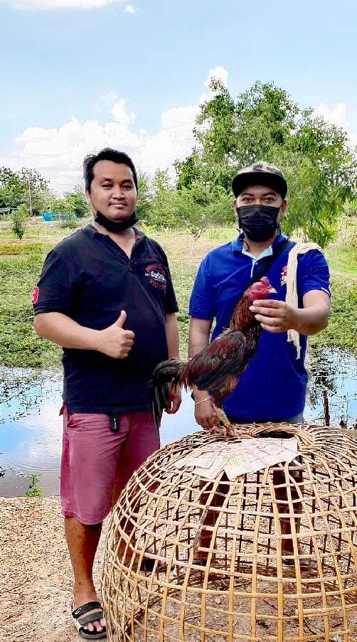 ซุ้มไก่ชน​ ป.จักพรรดิ์(แหล่งรวมไก่พม่าแข้งลึก)​