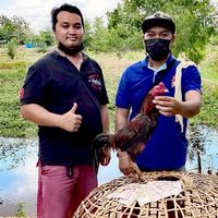 ซุ้มไก่ชน​ ป.จักพรรดิ์(แหล่งรวมไก่พม่าแข้งลึก)​
