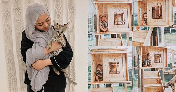 8 Penampakan kandang kucing Rachel Vennya ini keren abis  Brilio 