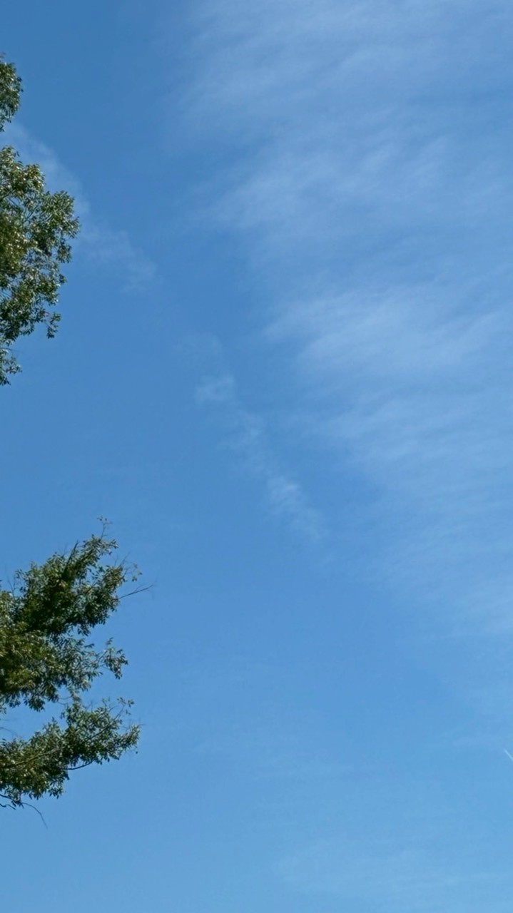 フォトナやってる人兼雑談オプ〜