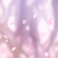 🌸🌸　新春　🌸🌸　　　　　　　桜咲かして満開にさせるぷゆ😙