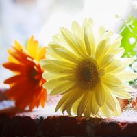 熊本　アラサー　アラフォーの集い