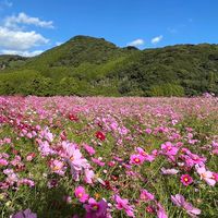 山口区お知らせ配信