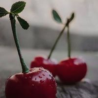 ไข่ต้ม🍒