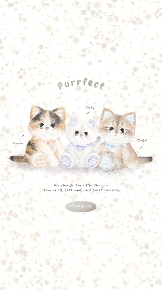 點糖奶🐨 |  貓咪團購群