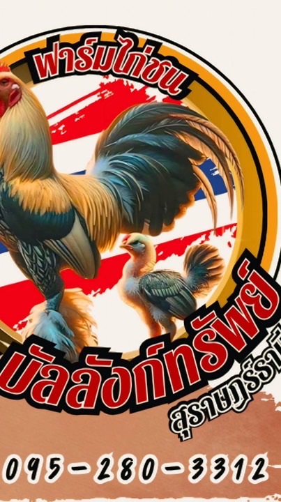 🏆บัลลังก์ทรัพย์ฟาร์มไก่ชน🐣“สุราษฎร์ธานี”