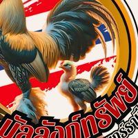 🏆บัลลังก์ทรัพย์ฟาร์มไก่ชน🐣“สุราษฎร์ธานี”