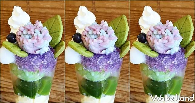 抹茶控一秒飛京都 伊藤久右衛門 紫陽花上生菓子芭菲 與日本同步開賣 超精緻 紫陽花抹茶和果子 讓抹茶控ig瘋狂洗版 Walkerland 窩客島