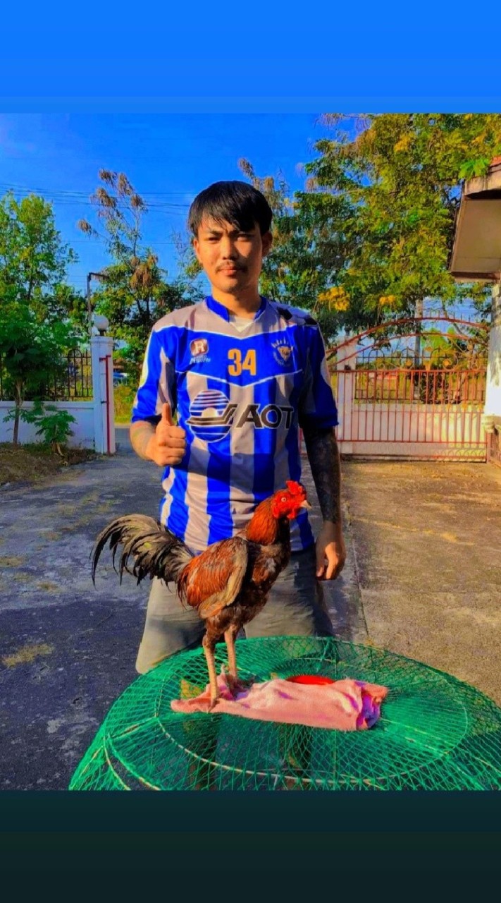 ซุ้ม ส.จันธิมา (เหนือแม่สอดพม่าเบอร์แข้ง )