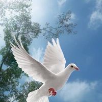 アンポンタンと愉快な仲間達の同窓会🎵