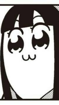 チェーンメールを送りあうかい