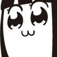 チェーンメールを送りあうかい
