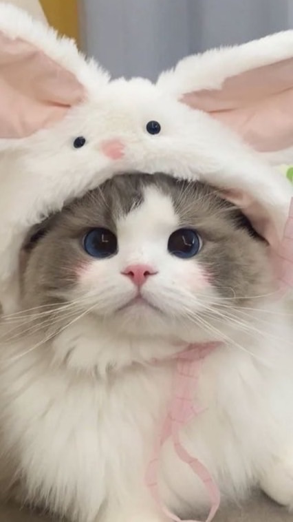新生急救箱
