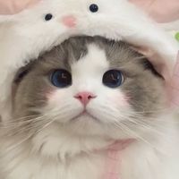 新生急救箱
