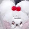 優質群🥨  🕊️ ᥫ᭡🎧ྀི