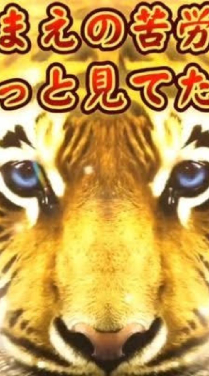 あぁ、また口内炎できた