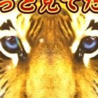 あぁ、また口内炎できた