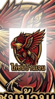 ไก่ชนบ้านเจน