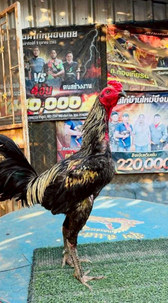 ซุ้ม ส.เด็กสร้างดอนคา นครสวรรค์
