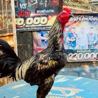 ซุ้ม ส.เด็กสร้างดอนคา นครสวรรค์