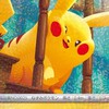 鹿児島ポケカ　少数