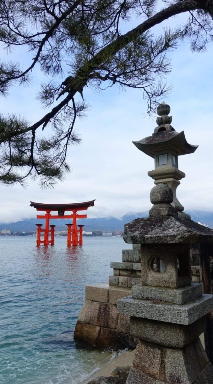 首頁_大里無憂無慮羽球群組