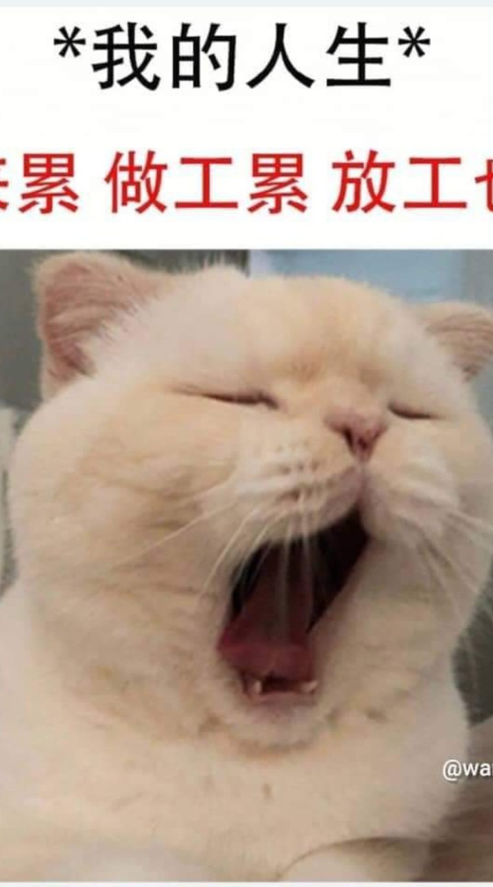 不能被看扁社群