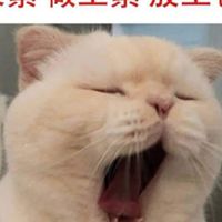 不能被看扁社群
