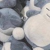 動画・画像投稿【ASMR中心】