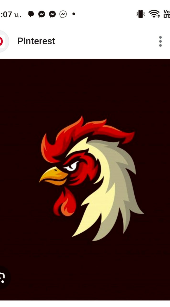 ตัวน่าลงทุน วัยรุ่นไก่ชน