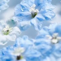 【社会人以上】精神疾患･闘病中の方の集まり