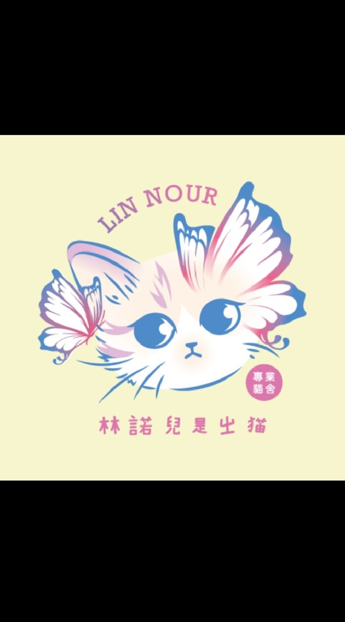 唯寵一生💕林諾兒是ㄓ貓🐱專業貓舍