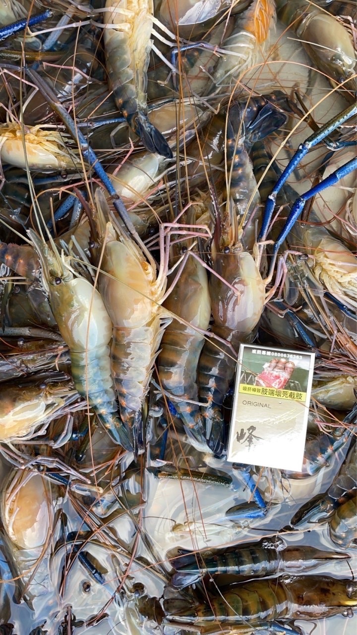 弘富水產（買賣）泰國蝦、白蝦