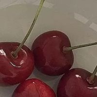 【⠀中学生の子 】雑談しよぉーう！
