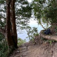 自己的豆腐自己做(自己的地球自己救)  大家一起來吃素救地球(救動物救自己的靈魂)